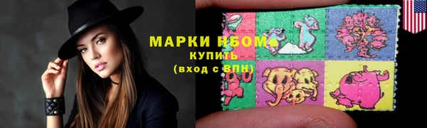 стаф Коряжма