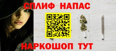 сатива Кинель