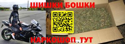ешки Кингисепп