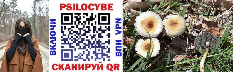 хочу наркоту  mega вход  Галлюциногенные грибы мухоморы  Кропоткин 