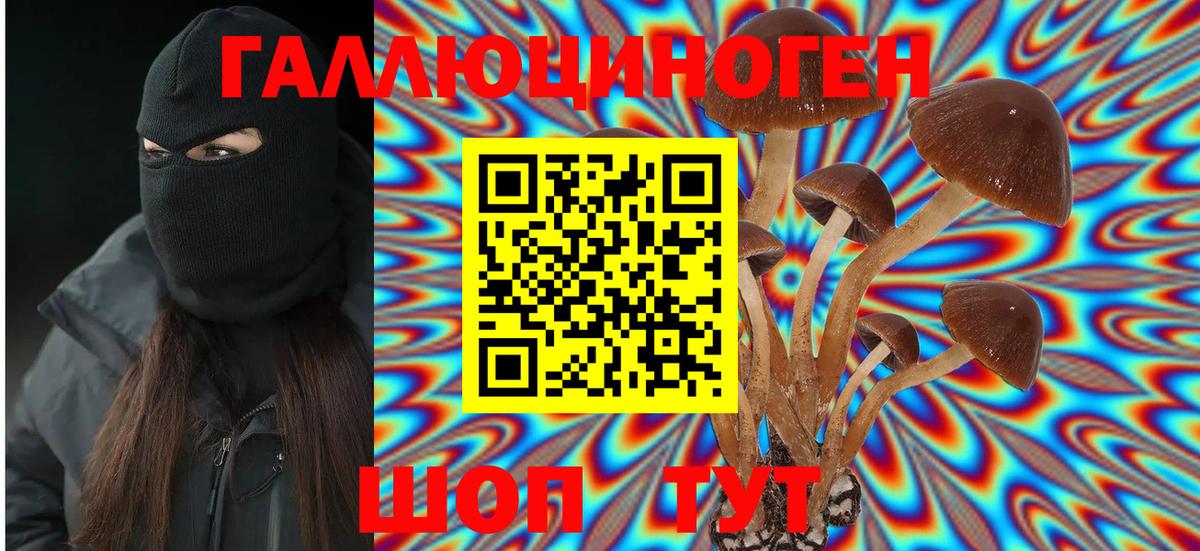 Кропоткин  Галлюциногенные грибы мицелий  Вход с VPN 